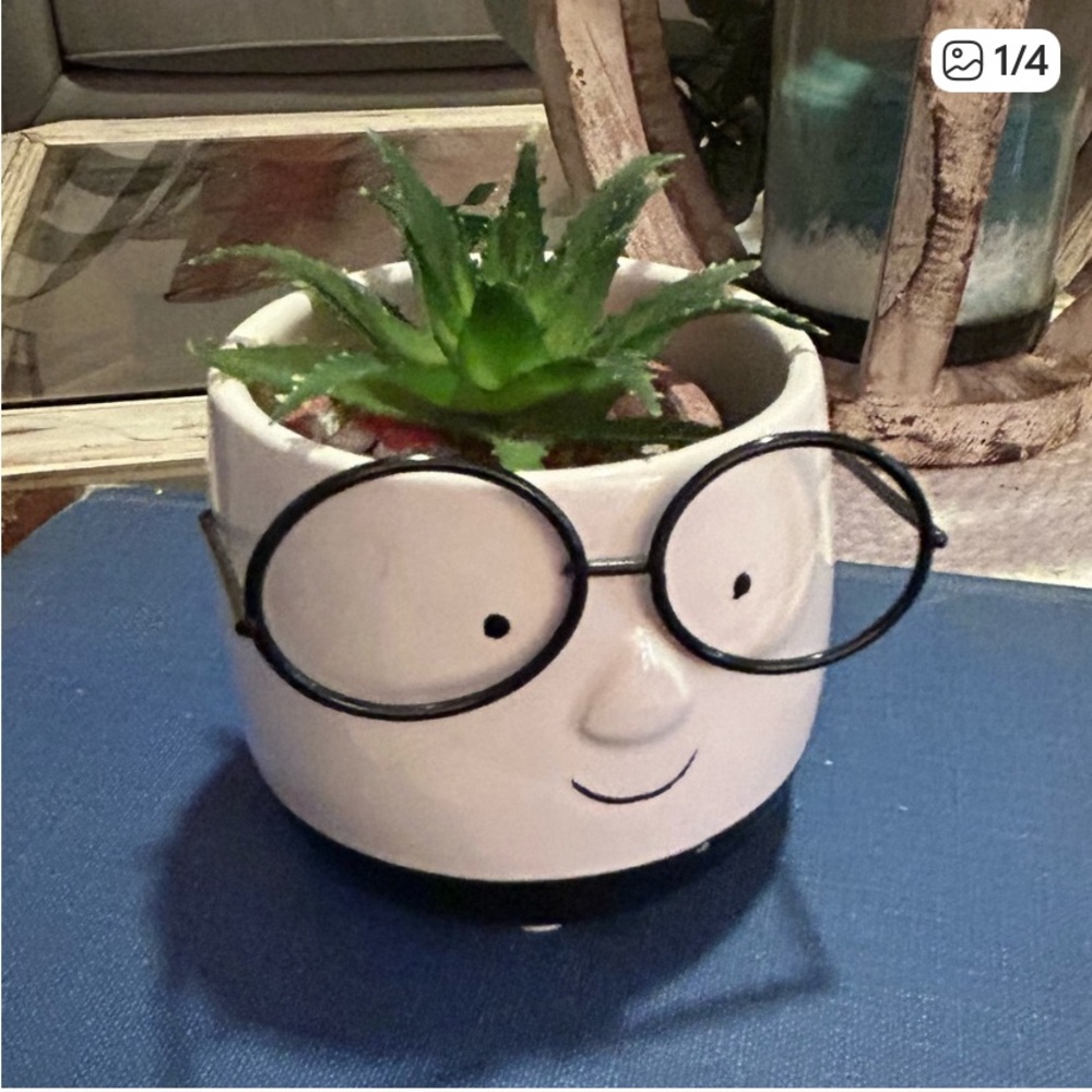 C$10 2for $15 Carton Face with Glasses Planter nerd book smart